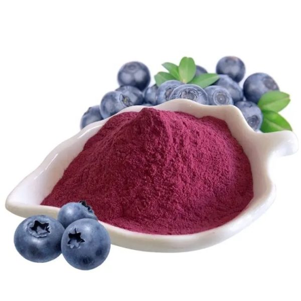 Spray-Dried Blueberry Powder
