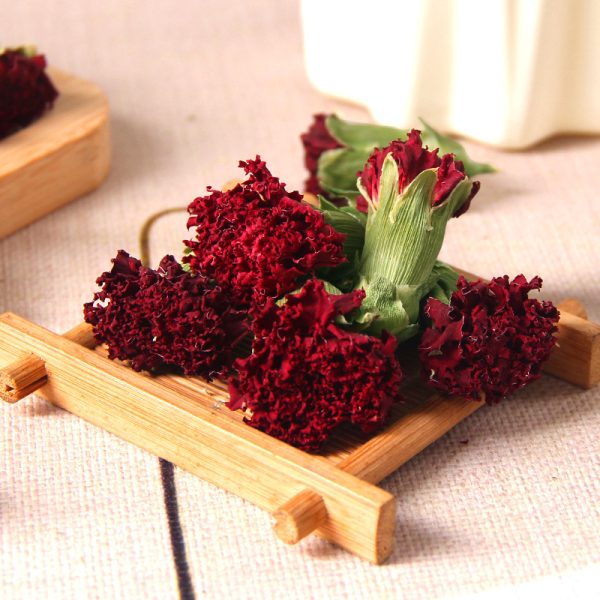 Carnation Blooms