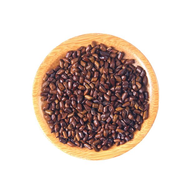 Cassia