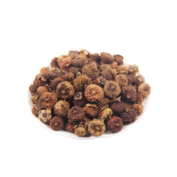 Chestnut Rose