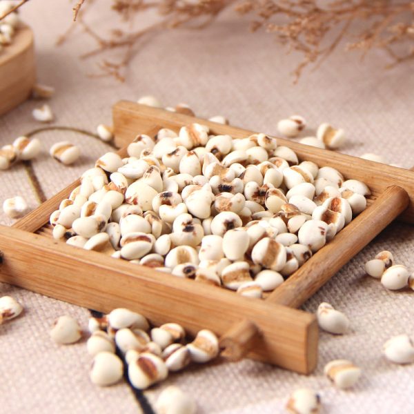 Dried Coix Seeds
