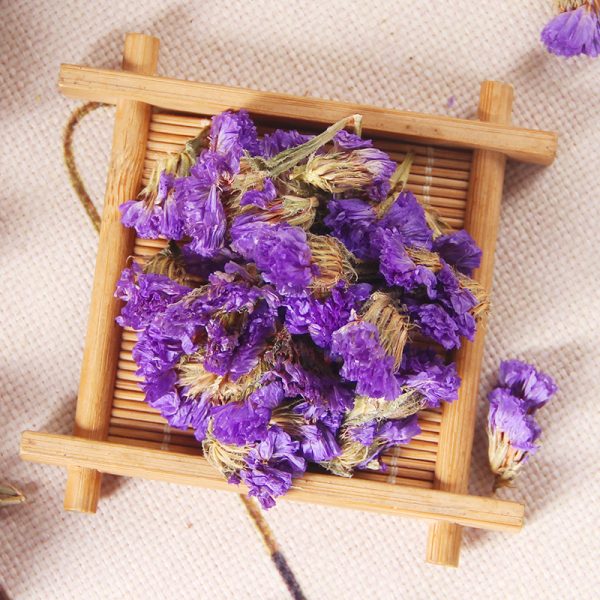 Dried Forget Me Not