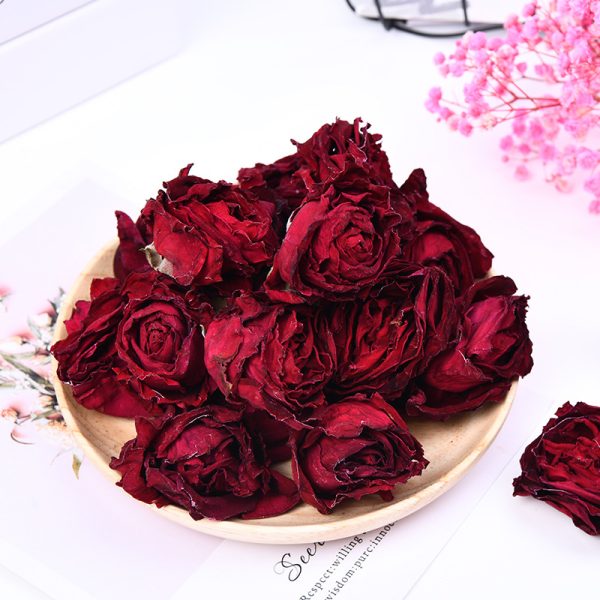 Freeze Dried Ink Rose