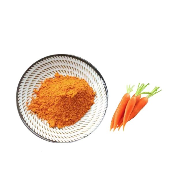 Spray-Dried Carrot Powder