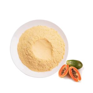Spray-Dried Papaya Powder