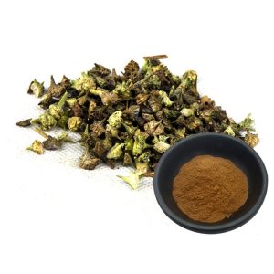 Tribulus Terrestris Extract 90%
