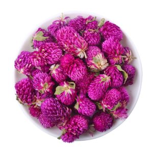 Globe Amaranth