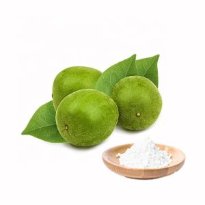 Monk Fruit Extract Erythritol Blend Sugar