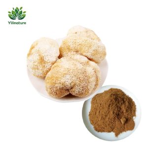 Lions Mane Mushroom Extract Polysaccharide 10%