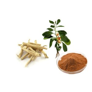Ashwagandha Extract  2.5% 5%  10% Withanolide
