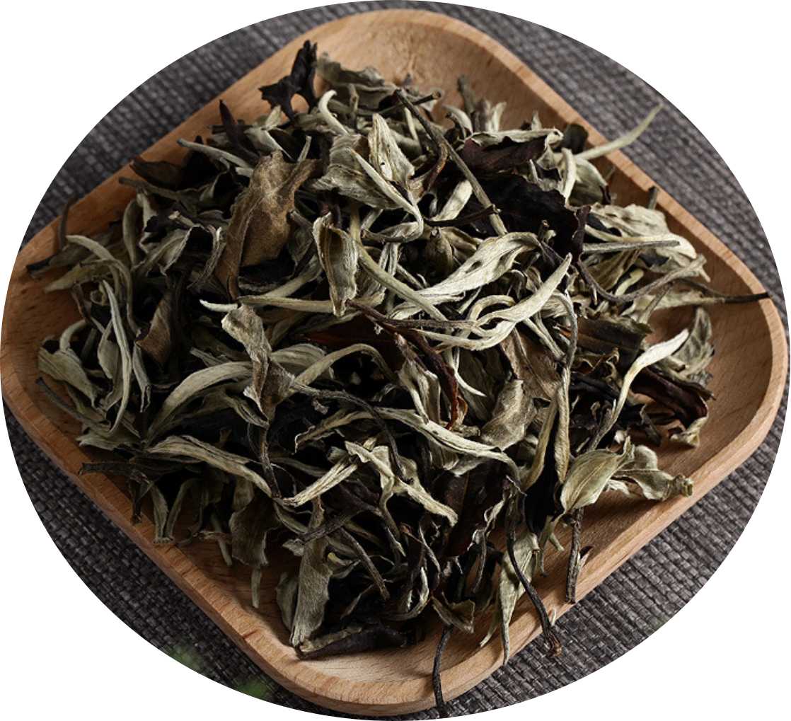 Yunnan White Tea