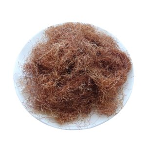 Dried Corn Silk
