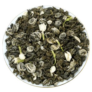 Jasmine Flower Snail